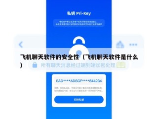 飞机聊天软件的安全性（飞机聊天软件是什么）