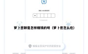 萝卜密聊是怎样赚钱的呀（萝卜密怎么吃）