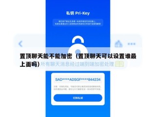 置顶聊天能不能加密（置顶聊天可以设置谁最上面吗）