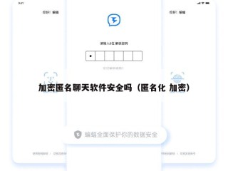 加密匿名聊天软件安全吗（匿名化 加密）