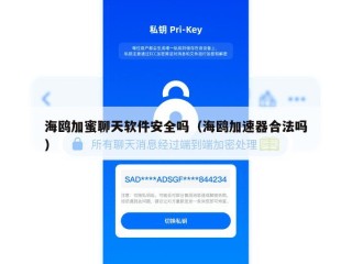 海鸥加蜜聊天软件安全吗（海鸥加速器合法吗）
