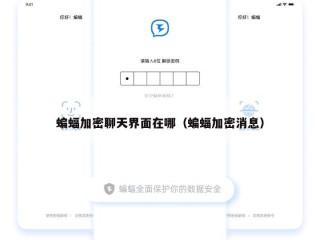 蝙蝠加密聊天界面在哪（蝙蝠加密消息）