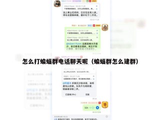 怎么打蝙蝠群电话聊天呢（蝙蝠群怎么建群）