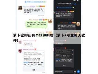 萝卜密聊还有个软件叫啥（萝卜+专业聊天软件）