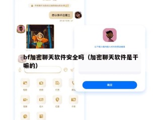 bf加密聊天软件安全吗（加密聊天软件是干嘛的）