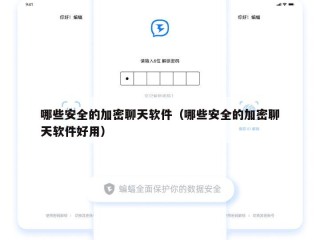 哪些安全的加密聊天软件（哪些安全的加密聊天软件好用）