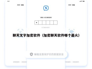 聊天文字加密软件（加密聊天软件哪个最火）