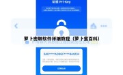 萝卜密聊软件详细教程（萝卜蜜百科）