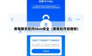 黑莓聊天软件bbm安全（黑莓软件有哪些）