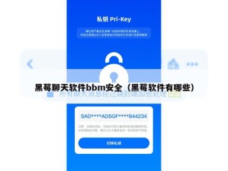 黑莓聊天软件bbm安全（黑莓软件有哪些）