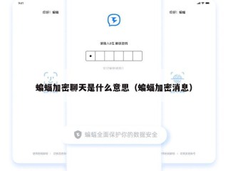 蝙蝠加密聊天是什么意思（蝙蝠加密消息）