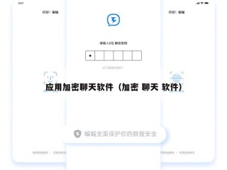 应用加密聊天软件（加密 聊天 软件）