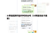 小黄猫是聊天软件吗安全吗（小黄猫说段子最新）