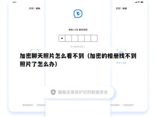 加密聊天照片怎么看不到（加密的相册找不到照片了怎么办）
