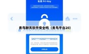 青鸟聊天软件安全吗（青鸟平台20）