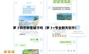 萝卜网密聊是骗子吗（萝卜+专业聊天软件）