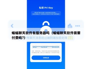 蝙蝠聊天软件有服务器吗（蝙蝠聊天软件需要付费吗?）