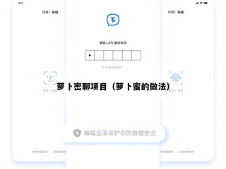 萝卜密聊项目（萝卜蜜的做法）