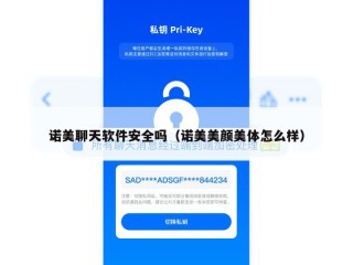 诺美聊天软件安全吗（诺美美颜美体怎么样）