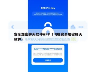 安全加密聊天软件APP（飞机安全加密聊天软件）