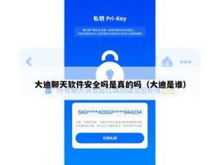 大迪聊天软件安全吗是真的吗（大迪是谁）
