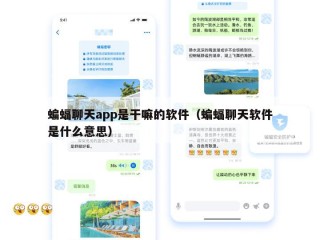 蝙蝠聊天app是干嘛的软件（蝙蝠聊天软件是什么意思）