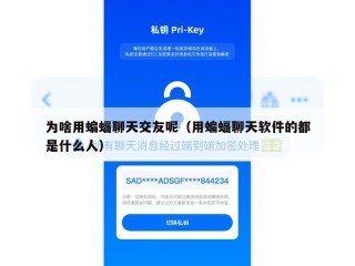为啥用蝙蝠聊天交友呢（用蝙蝠聊天软件的都是什么人）