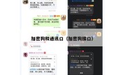 加密狗和通讯口（加密狗接口）