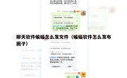 聊天软件蝙蝠怎么发文件（蝙蝠软件怎么发布圈子）