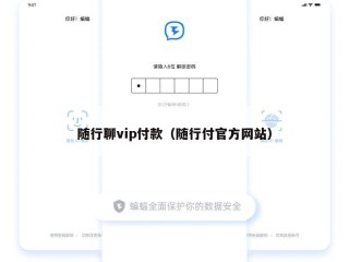 随行聊vip付款（随行付官方网站）