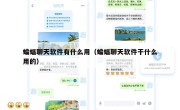 蝙蝠聊天软件有什么用（蝙蝠聊天软件干什么用的）