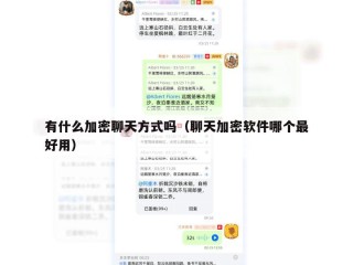 有什么加密聊天方式吗（聊天加密软件哪个最好用）