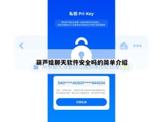 葫芦娃聊天软件安全吗的简单介绍