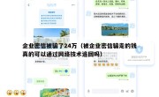 企业密信被骗了24万（被企业密信骗走的钱真的可以通过网络技术追回吗）