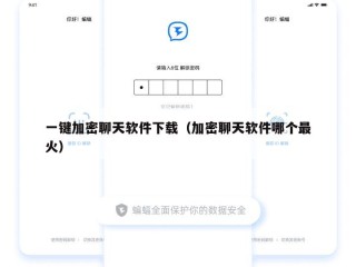 一键加密聊天软件下载（加密聊天软件哪个最火）