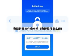 夜配聊天软件安全吗（夜聊软件怎么玩）