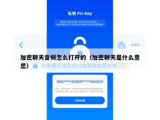加密聊天音频怎么打开的（加密聊天是什么意思）