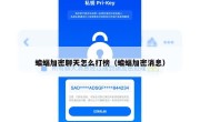 蝙蝠加密聊天怎么打榜（蝙蝠加密消息）