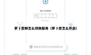 萝卜密聊怎么切换服务（萝卜密怎么开启）