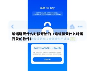 蝙蝠聊天什么时候开始的（蝙蝠聊天什么时候开发的软件）
