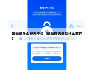 蝙蝠是什么聊天平台（蝙蝠聊天是款什么软件）