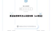 黑话加密聊天怎么设置权限（wd黑话）