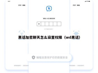 黑话加密聊天怎么设置权限（wd黑话）