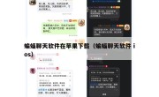蝙蝠聊天软件在苹果下载（蝙蝠聊天软件 ios）