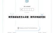 聊天暗语加密怎么设置（聊天的暗语对接）