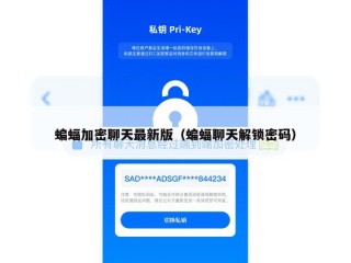 蝙蝠加密聊天最新版（蝙蝠聊天解锁密码）