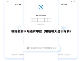 蝙蝠的聊天暗语有哪些（蝙蝠聊天是干啥的）
