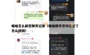 蝙蝠怎么解密聊天记录（蝙蝠聊天密码忘记了怎么找回）