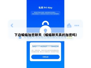 下边蝙蝠加密聊天（蝙蝠聊天真的加密吗）