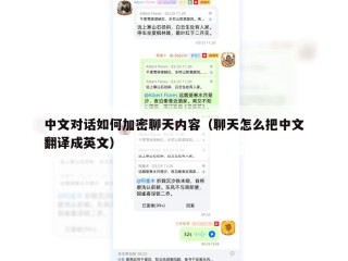 中文对话如何加密聊天内容（聊天怎么把中文翻译成英文）